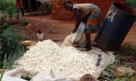 Centrafrique : la question de santé suscite d’émotion au village Gbandjere