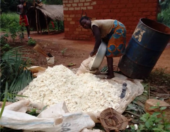 Centrafrique : la question de santé suscite d’émotion au village Gbandjere
