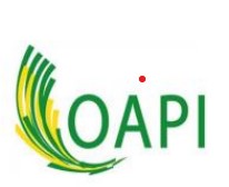AWARDS DE LA MARQUE OAPI LIBREVILLE DU 08 AU 10 OCTOBRE 2025
