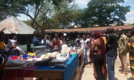 Centrafrique : la Magie en Mouvement, Plongée au Cœur de la Fabrication des Marionnettes à Bangui