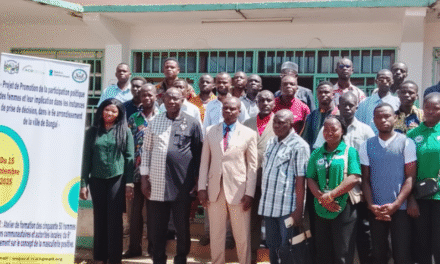Centrafrique : atelier de formation sur la masculinité positive