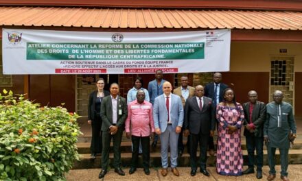 Centrafrique : vers une réforme de la Commission Nationale des Droits de l’Homme et des Libertés Fondamentales en RCA