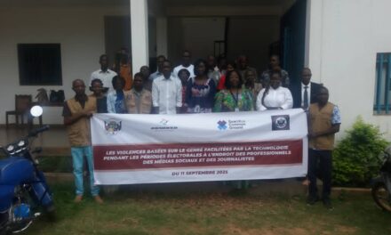 Centrafrique : un atelier de sensibilisation des professionnels des médias sur les VBG facilitées par la technologie en période électorale