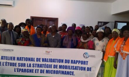 Centrafrique : le gouvernement veut digitaliser les tontines et AVEC grâce au projet I-COMPETE