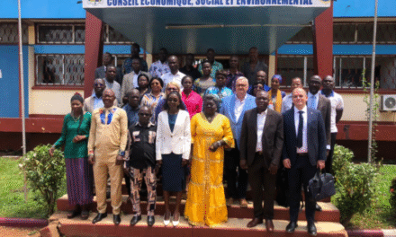 Centrafrique : vers une gestion modernisée des ressources humaines dans l’administration publique