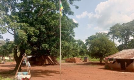 Centrafrique : à Mboko, les habitants vivent sans électricité ni accès aux   services sociaux de base