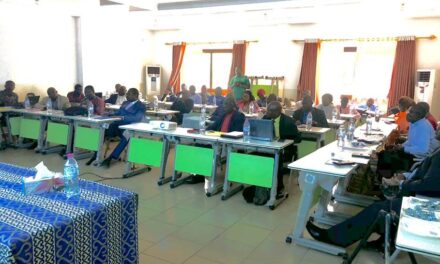 Centrafrique : African Parks RCA réunit les parties prenantes autour du Parc National de Chinko et du SDAT de l’ACC
