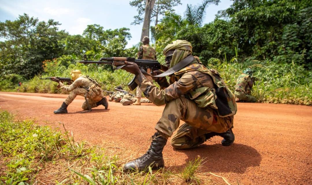 Des Forces de Défense et de Sécurité Centrafricaines frappent sévèrement un groupe criminel aux abords de la frontière soudanaise