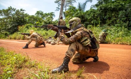 Des Forces de Défense et de Sécurité Centrafricaines frappent sévèrement un groupe criminel aux abords de la frontière soudanaise
