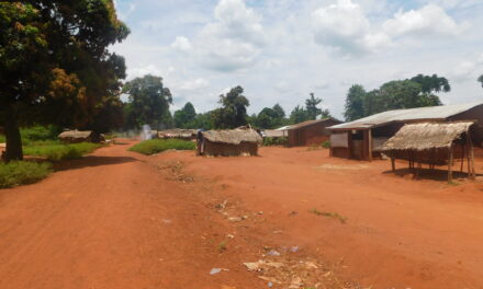 Centrafrique : Maka 3 plongé dans l’isolement, faute de réseau téléphonique