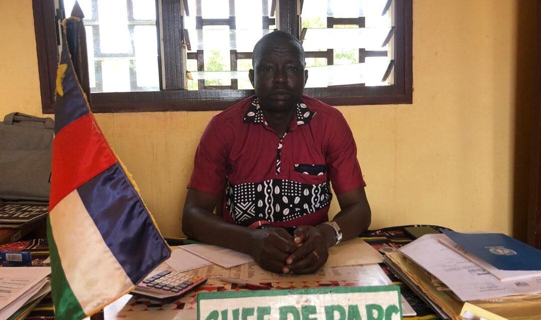 Centrafrique : le marché à bétail de Djabarona face au défi sécuritaire