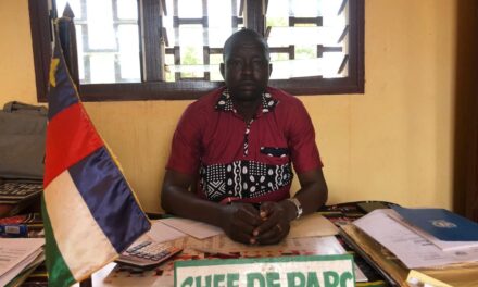 Centrafrique : le marché à bétail de Djabarona face au défi sécuritaire