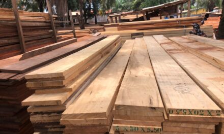 Centrafrique : abondance du bois de planche sur les marchés à Bangui