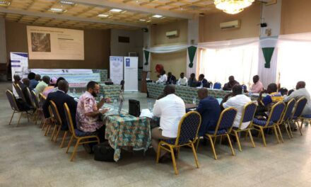 Centrafrique : vers un RCCM numérisé pour booster l’économie nationale