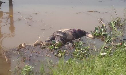 Centrafrique : le corps sans vie d’un jeune homme repêché dans la rivière M’poko
