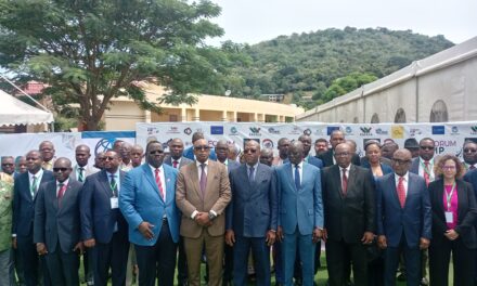 De Casablanca à Bangui, la Centrafrique attire les investisseurs au « Forum d’Investissements et de Partenariats »