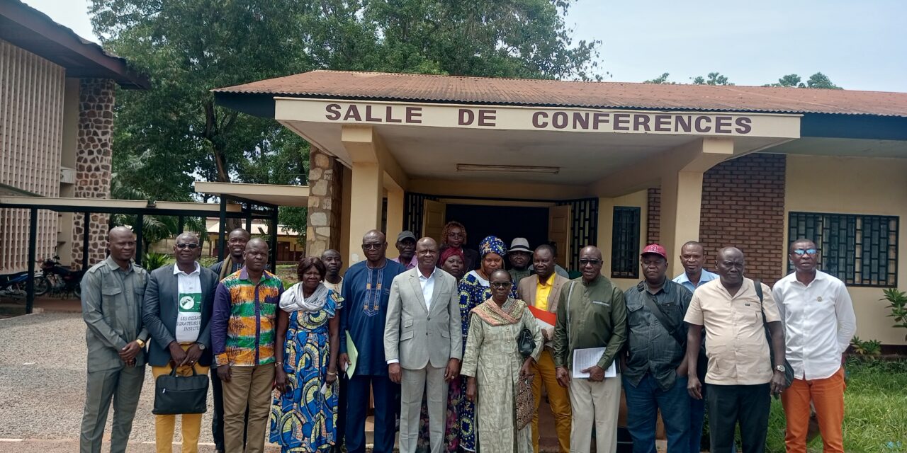 Centrafrique : le CIEDD veut vulgariser la décision interdisant l’exportation de grumes hors de la CEMAC et de la RDC