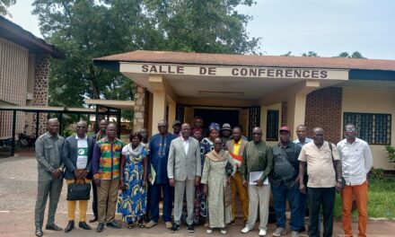 Centrafrique : le CIEDD veut vulgariser la décision interdisant l’exportation de grumes hors de la CEMAC et de la RDC