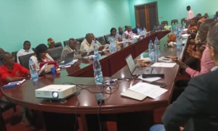 Centrafrique : le Haut Conseil de la Communication mobilise des efforts contre la désinformation en période électorale