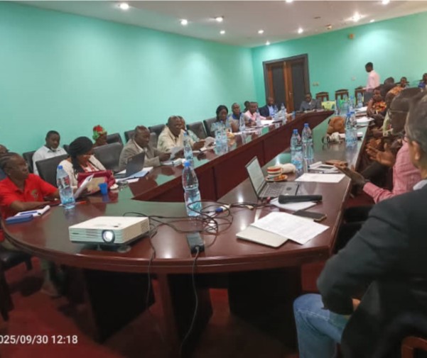 Centrafrique : le Haut Conseil de la Communication mobilise des efforts contre la désinformation en période électorale