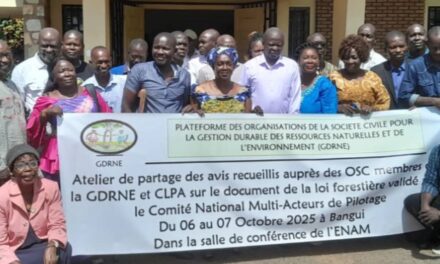 Centrafrique : implication de la société civile dans le nouveau code forestier
