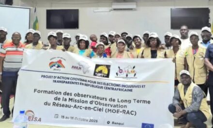 Centrafrique : le Réseau Arc-en-Ciel renforce les capacités de ses observateurs à long terme en vue des élections groupées