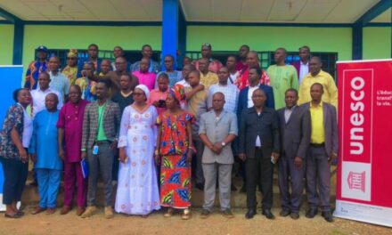 Centrafrique : vers une stratégie nationale de production et de diffusion des ressources éducatives