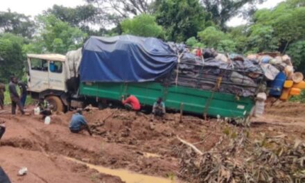 Centrafrique-Haut-Mbomou : le désenclavement ou l’oubli ? Cri d’alarme des opérateurs économiques