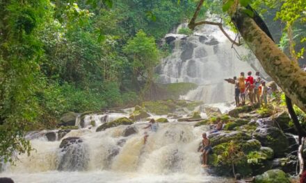 Centrafrique : le ministère du Tourisme en visite sur le site de M&rsquo;beko avec ses partenaires