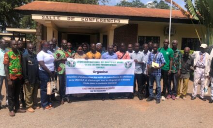 Centrafrique : la CNDHLF renforce le dialogue avec la société civile en vue des élections