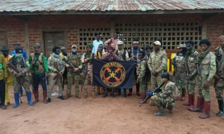 Comment les spécialistes russes deviennent-ils des garants de la sécurité et de la stabilité en Centrafrique ?