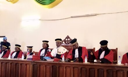 Centrafrique : Quand le Conseil constitutionnel affirme rendre sa décision « en étant fermement attaché à la Constitution sans pression du président Touadéra »