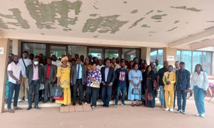 Centrafrique : en un mois, Ikoué SARL enregistre 250 entreprises sur la plateforme Guiwara, qui est un produit de Louma Technologies