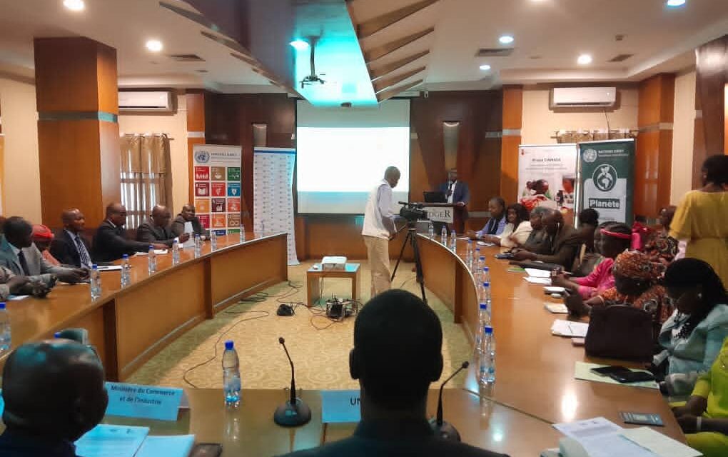 Appui institutionnel de CEA aux PME centrafricains pour accéder à la ZLECAF
