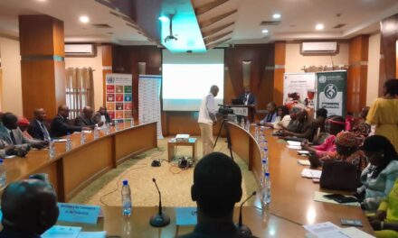 Appui institutionnel de CEA aux PME centrafricains pour accéder à la ZLECAF