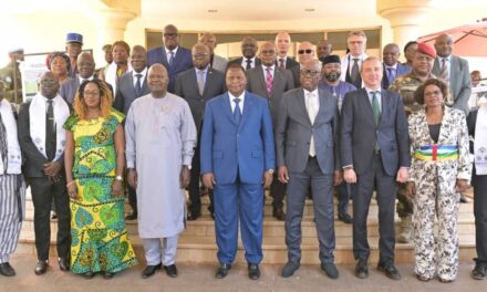 Centrafrique : « Dzanga-Sangha, une première journée dédiée à la nature et au développement » 