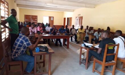 Centrafrique : les vendeurs de mini-pharmacies s’inquiètent de leur sort