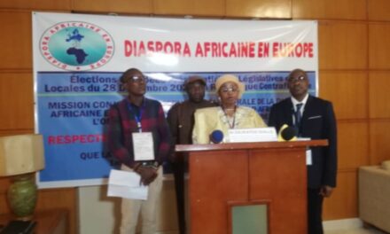 Centrafrique: la  Mission conjointe d’observation électorale appelle pour des élections apaisées et crédibles