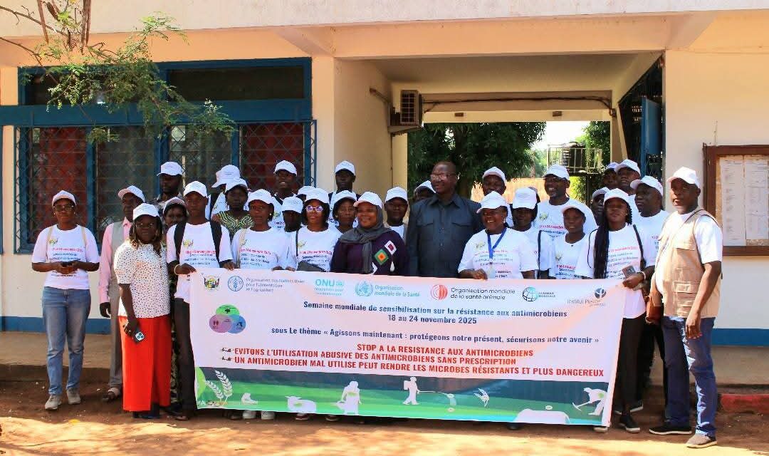 Centrafrique : sensibilisation sur la résistance aux antimicrobiens