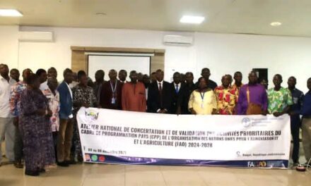 Centrafrique : les experts réfléchissent sur les priorités nationales du développement