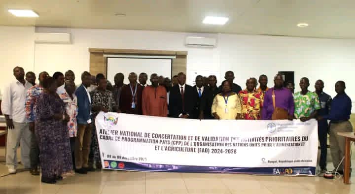 Centrafrique : les experts réfléchissent sur les priorités nationales du développement