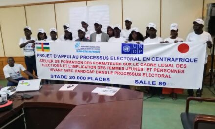 Centrafrique : le RJDH forme des points focaux de Bangui et des provinces sur l’inclusion des femmes, des jeunes et des personnes vivant avec handicap dans le processus électoral