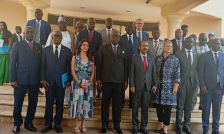 Centrafrique : l’ANE fait le point sur l’état d’avancement du processus électoral lors d’une réunion du comité stratégique