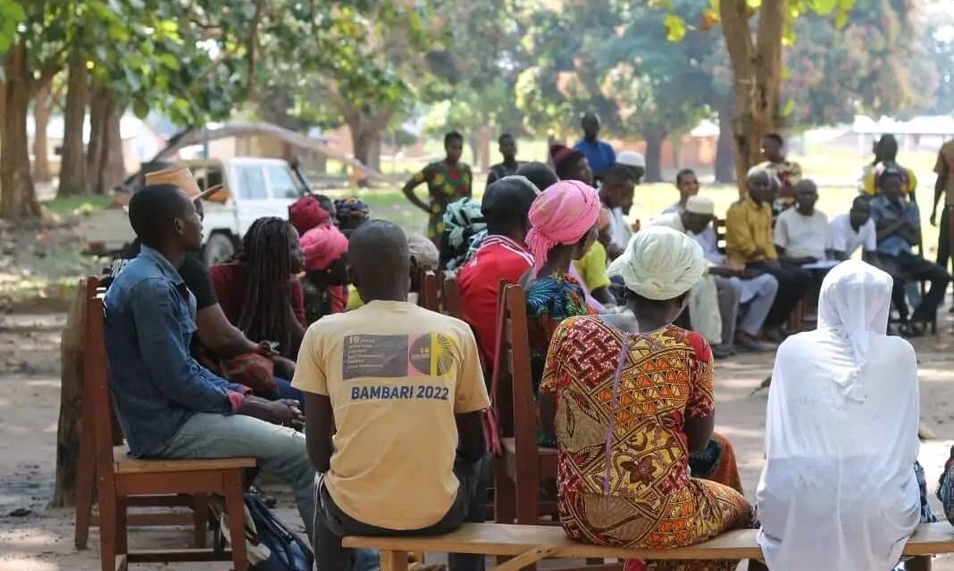 Centrafrique : l’agriculture en groupement améliore les conditions de vie des communautés rurales à Alindao