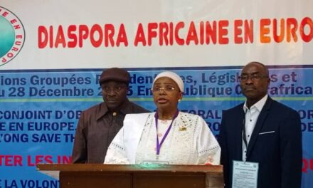 Rapport de la Mission Conjointe d’Observation Électorale : Un pas décisif pour la démocratie en République Centrafricaine