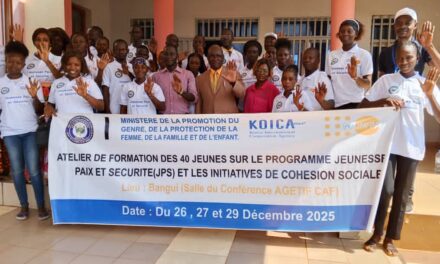 Des leaders de la jeunesse centrafricaine formés à la cohésion sociale