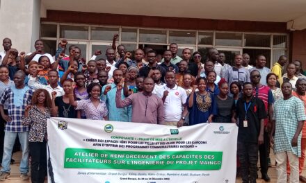 Centrafrique : des facilitateurs renforcés sur l’ingénierie du projet Maïngo