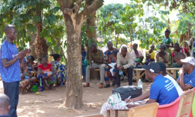 Centrafrique : le PRUCAC dynamise la production agricole des petits exploitants dans la Ouaka