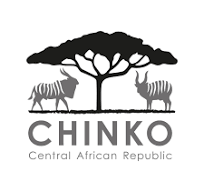 Sélection d’un expert pour produire une proposition d’un projet budgétisé en vue de l’aménagement de l’axe Awala-Wa-Yalinga