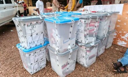 Liste complète des candidats élus au premier tour des élections législatives : le MCU en tête avec 50 places